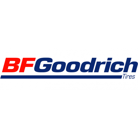 BFGoodrich ADVANTAGE 205/55R16 94W