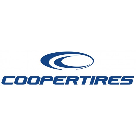 Cooper Tires WEATHER MASTER SA2 + (H/V) 205/55R16 91H
