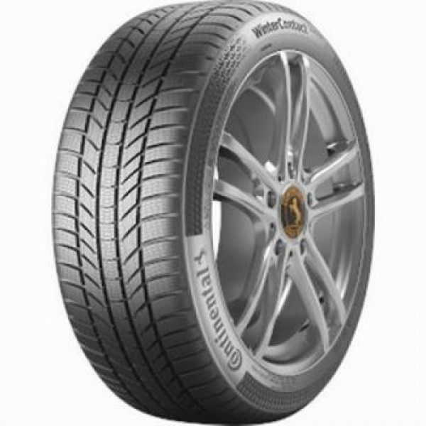 Continental WINTER CONTACT TS 870 P 205/55R17 95H