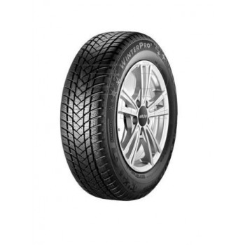 GT Radial WINTER PRO 2 205/55R17 95H