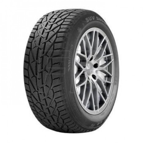 Riken SNOW 205/55R17 95V